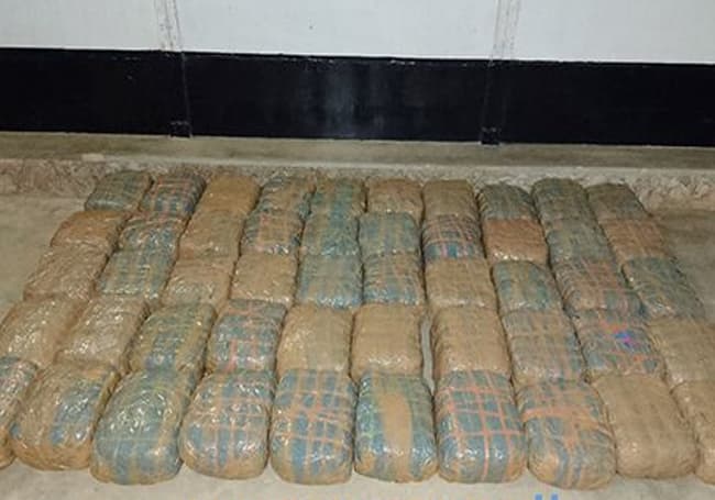 Two arrested with Kerala cannabis worth over Rs. 40 mn