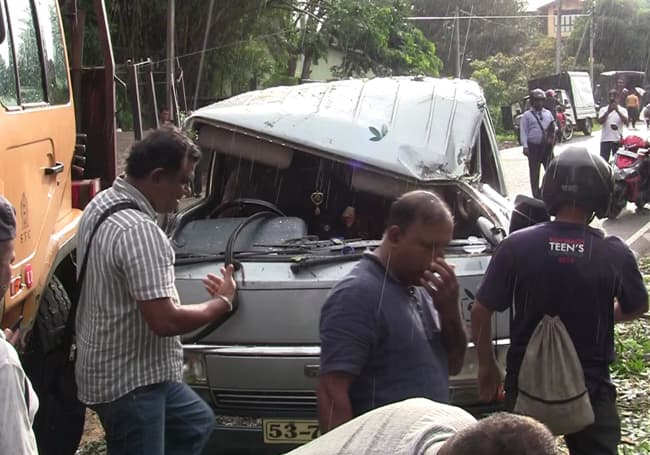 Three injured after tree falls on several vehicles