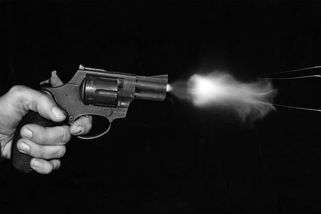 Person killed in shooting by wildlife officers
