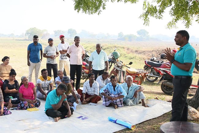 FAO, EU launch program to train 6,000 Sri Lankan paddy farmers on sustainable cultivation