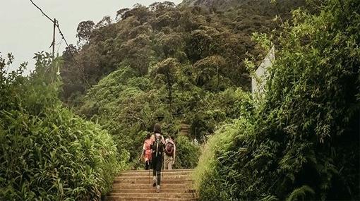 Sri Lanka seeks to attract Arab visitors with Ibn Battuta’s trail