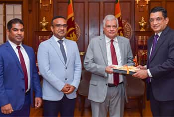 Ministerial Sub-Committee on Cricket submits report to President