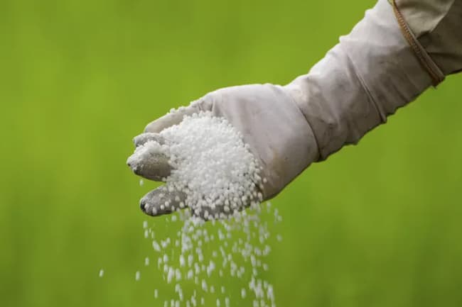 Govt mulls lifting VAT on chemical fertilizers at next ‘Yala’ season