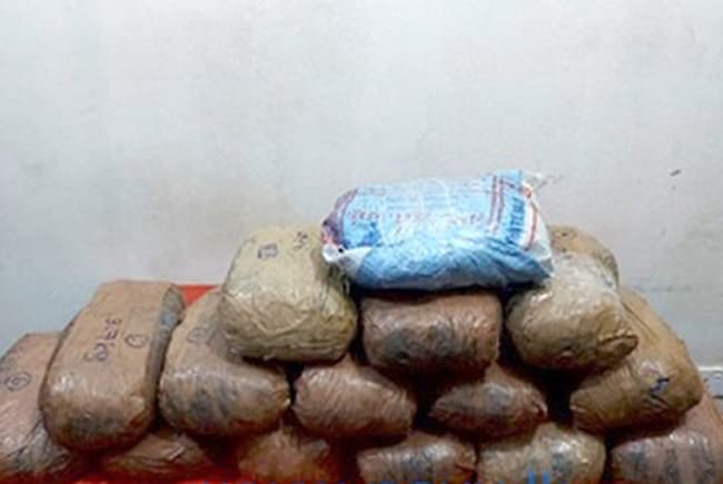 Navy recovers Kerala Cannabis worth over Rs. 21 mn
