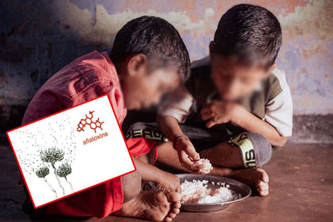 Govt. accused of trying to revise ‘Aflatoxin’ limit in children’s food