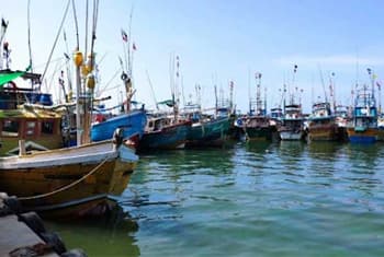 One fisherman killed, seven others hospitalised after exposure to noxious gas