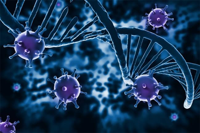Scientists say they can cut HIV out of cells