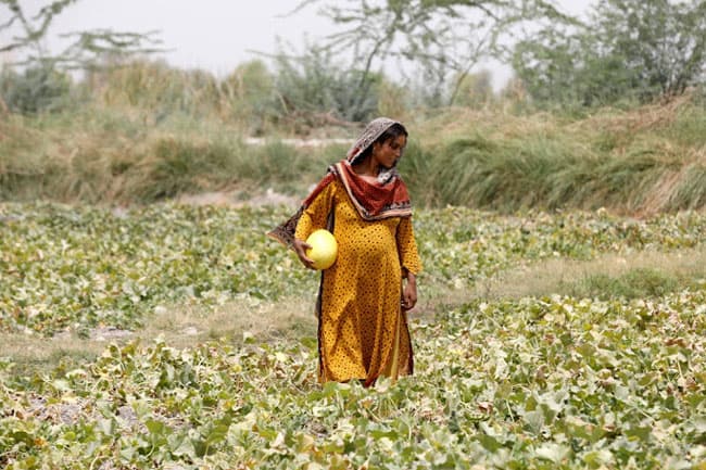 Extreme heat at work can double stillbirth risk, India study finds