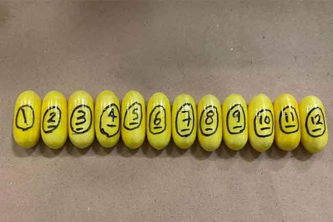 Venezuelan national arrested at BIA with suspected cocaine capsules