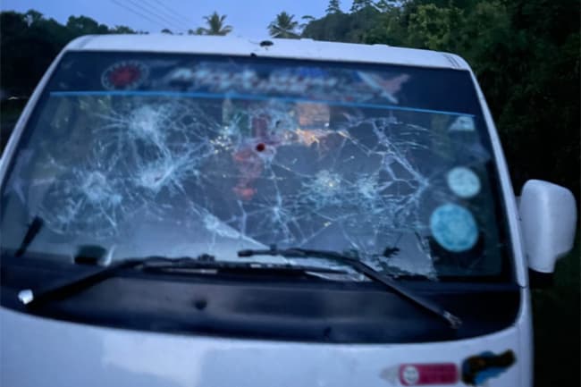 Police open fire at defiant lorry transporting cattle; one injured
