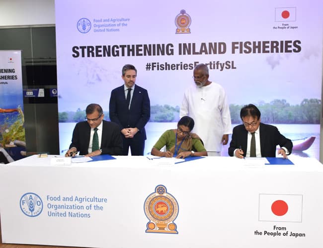 Japan provides $3M through FAO to strengthen inland fisheries in Sri Lanka