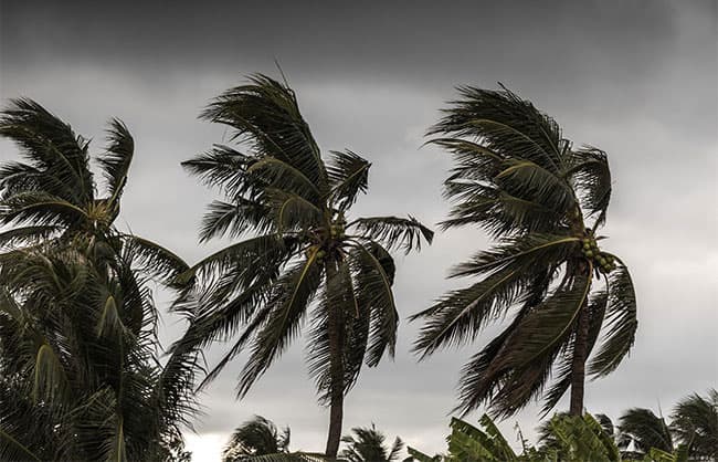 Prevailing windy conditions expected to continue