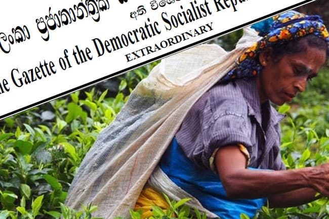 Gazette increasing daily wage of plantation workers cancelled