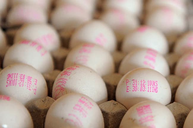 Minister sounds warning to egg producers over prices