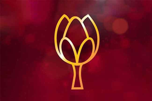 SLPP considers contesting LG elections separately