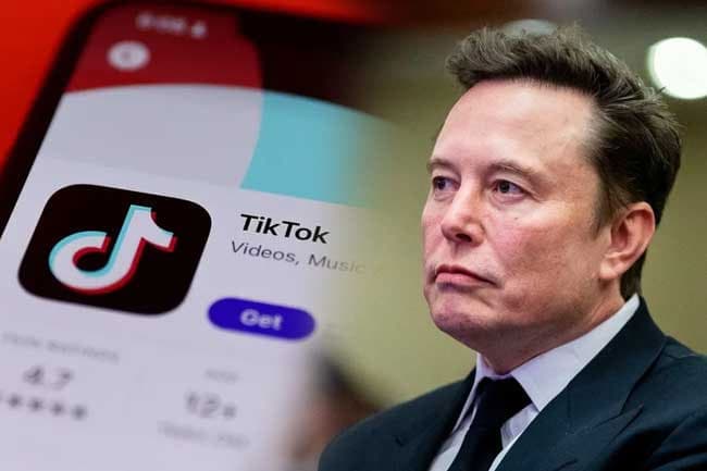 TikTok says report of possible sale to Musk ‘pure fiction’