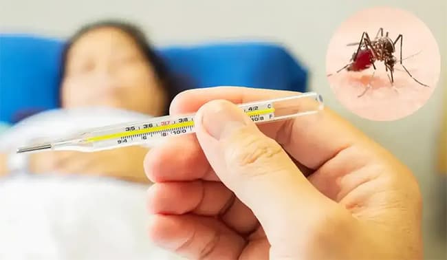 Health officials warn of increased risk of Dengue and Chikungunya