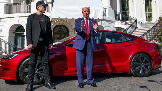 Musk to reduce Doge role after Tesla profits plunge