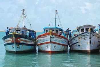 Another 16 Sri Lankan fishermen arrested