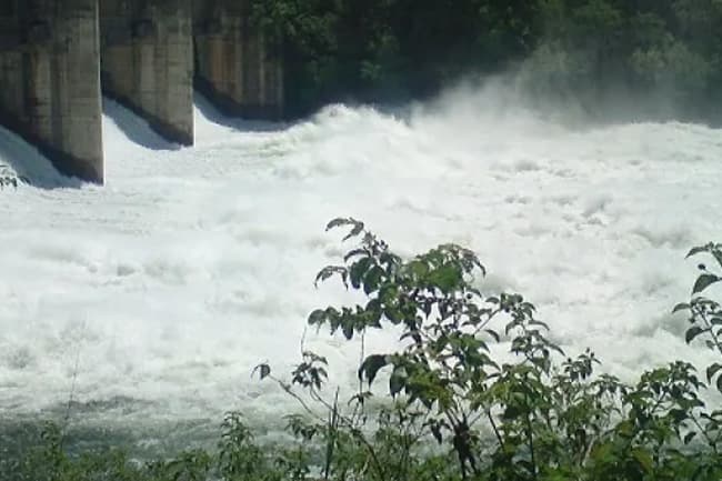 24 major reservoirs overflow amid heavy rainfall