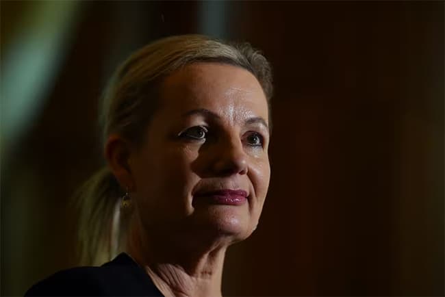 Australia’s Liberal Party names first female leader after historic election loss