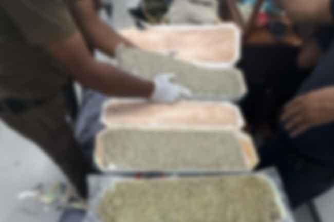 Indian national arrested with ‘Kush’ worth Rs. 41mn at KKS Port