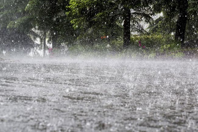 Heavy showers, strong winds expected in several areas