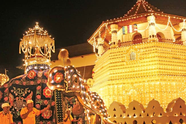 Kandy Esala Perahera to commence on July 25