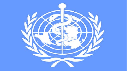 Health Minister participates at 70th WHA meeting