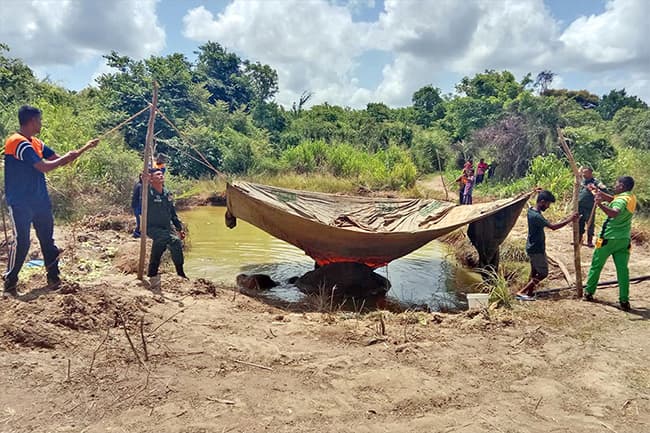 Army assists in treatment of injured tusker ‘Bhathiya’