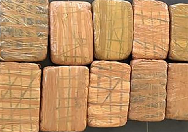 Kerala cannabis valued over Rs. 15 mn seized in Jaffna