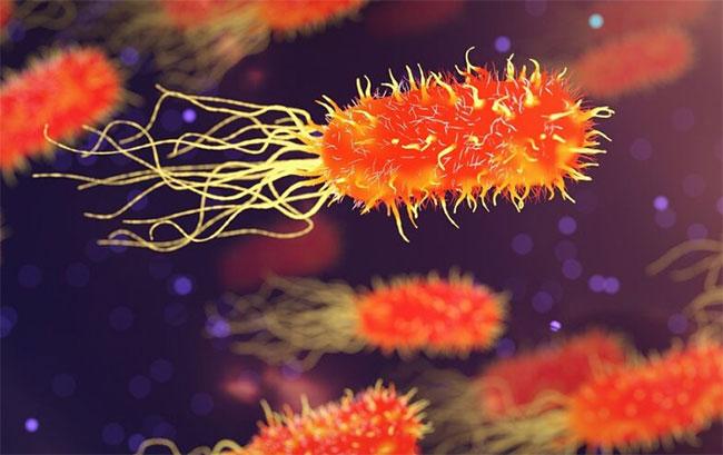 Fatal ‘rat fever’ cases among children on the rise: Experts