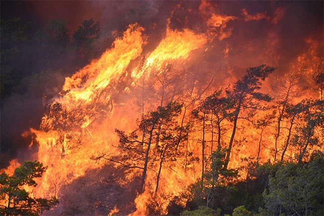 Spain, Portugal order mass evacuation of residents as wildfires rage