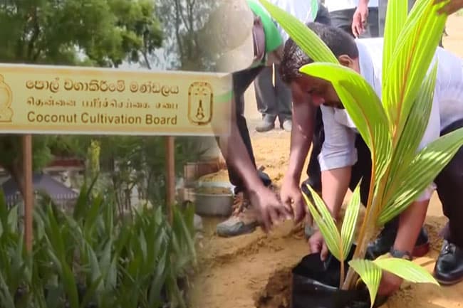 First coconut seed production unit in North launched by President