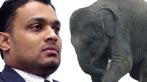 HC accepts Thilina Gamage’s plea to relax bail conditions