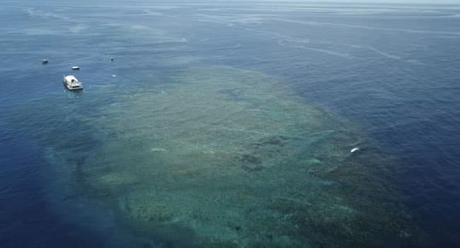 Rising oceans to threaten 1.5 million Australians by 2050: Report
