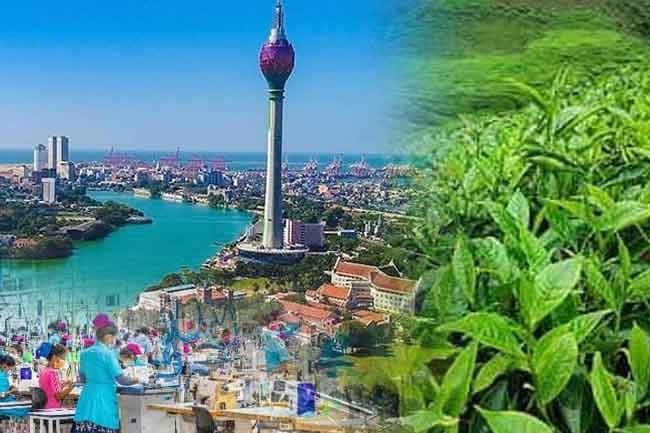 Sri Lanka’s economy records mixed sectoral growth in Q2 2025