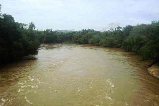 Kelani River water levels receding – Irrigation Department