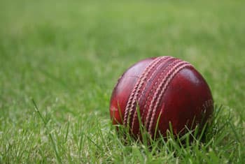 Racism probe into suburban cricket match brawl
