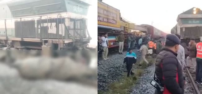 Eight elephants killed as Rajdhani Express collides with herd in India’s Assam