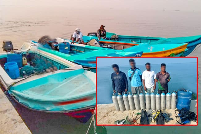 13 apprehended for harvesting sea cucumber illegally in seas off Kilinochchi