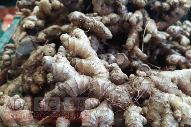 Ginger prices soar amid supply shortage