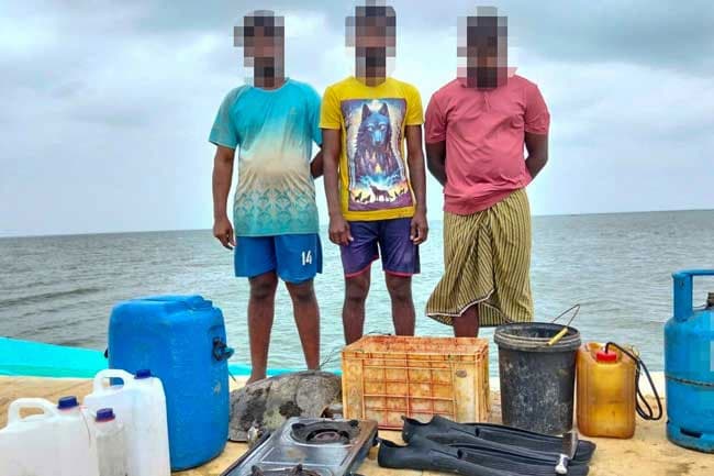 Three nabbed with turtle meat and eggs in Mannar