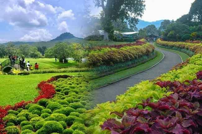 Revenue from Sri Lanka’s botanical gardens surpasses Rs. 1 bln in 2025