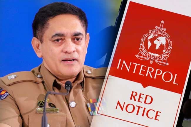 ‘Podi Lassie’ arrested without Interpol Red Notice, police reveal more details