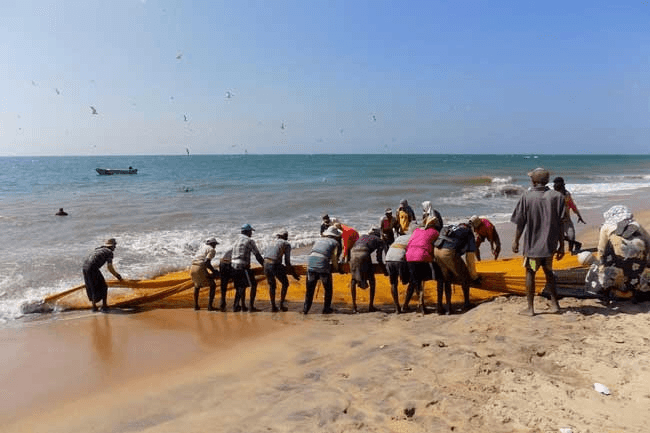 Dedicated number introduced to report issues in fishing industry