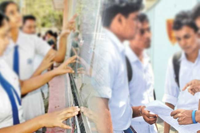 2025 A/L Exam: Over 62% qualify for university admission