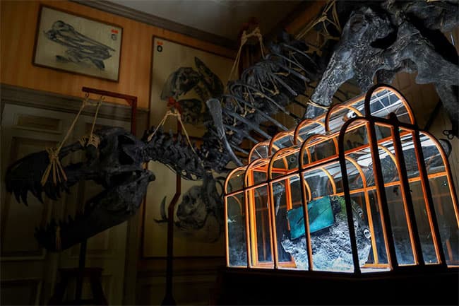 Dinosaur collagen used to create one-of-a-kind handbag