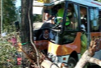 Ten injured after bus crashes into tree