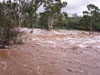 320,408 displaced, death toll reaches 11
